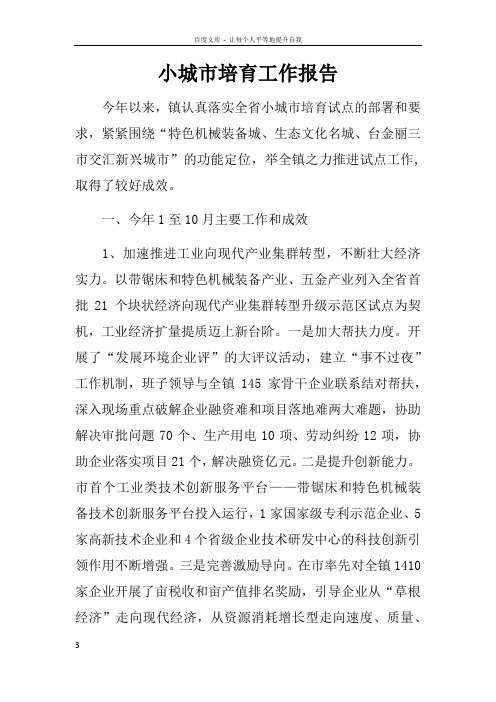 小城市培育工作报告