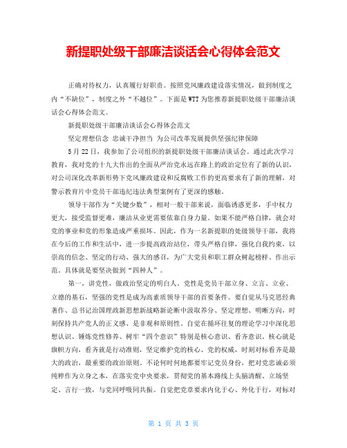 新提职处级干部廉洁谈话会心得体会范文