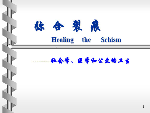医学社会学概述ppt课件
