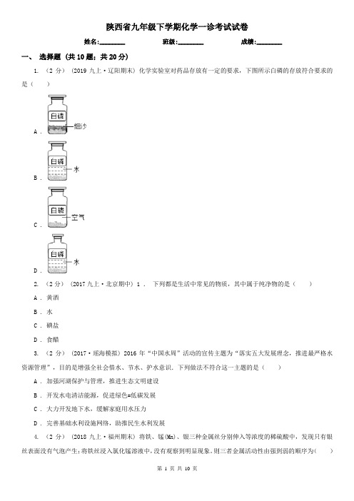 陕西省九年级下学期化学一诊考试试卷