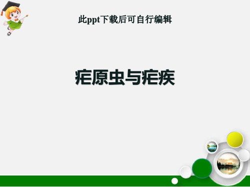 疟原虫与疟疾ppt课件