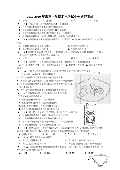 2019-2020年高三上学期期末考试生物含答案(I).doc