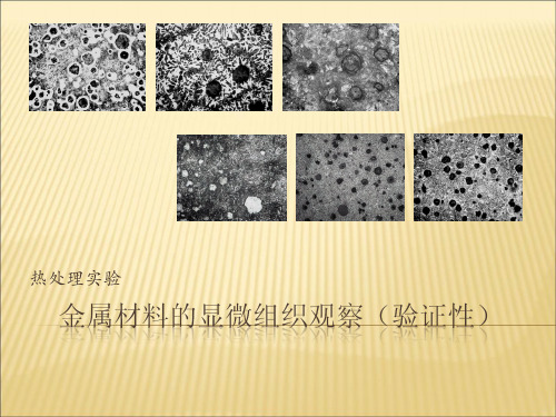 金属材料的显微组织观察(PPT51页)