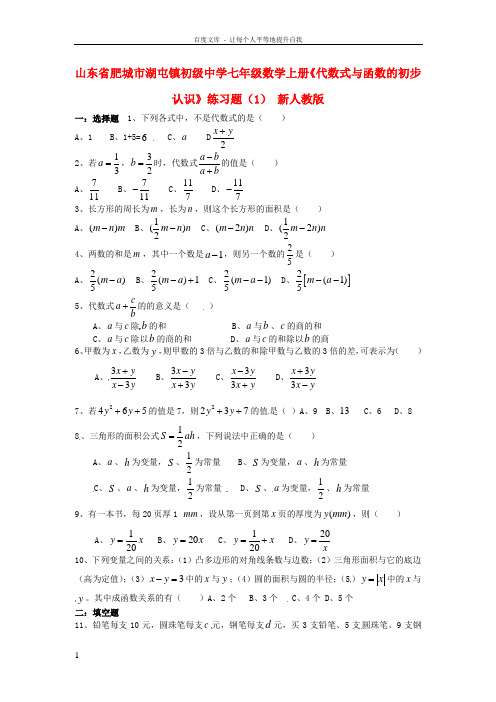 七年级数学上册代数式与函数的初步认识练习题1无答案新人教版