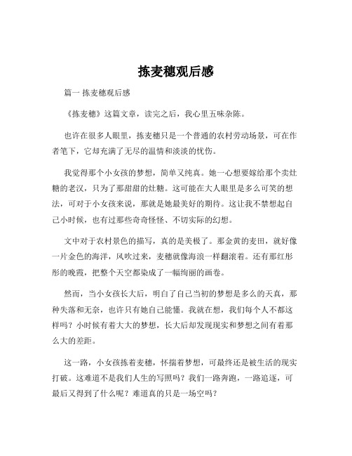 拣麦穗观后感