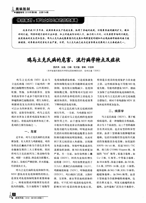 鸡马立克氏病的危害、流行病学特点及症状