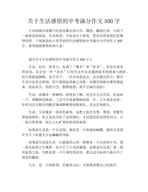 关于生活感悟的中考满分作文800字