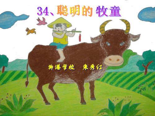 聪明的牧童 (2)