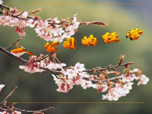 51公司的经营18631-精品文档