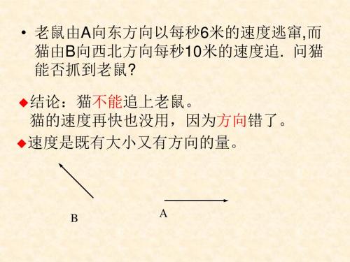 向量的概念