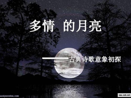 2011诗歌鉴赏(2)多情的月亮