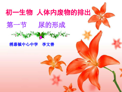 尿的形成和排出