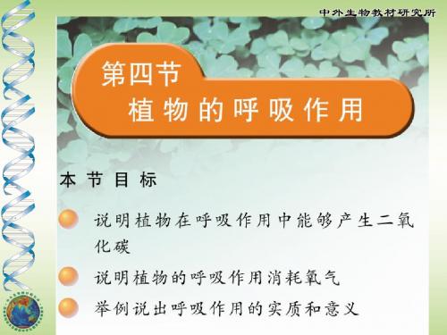 植物的呼吸作用 PPT课件4 苏教版