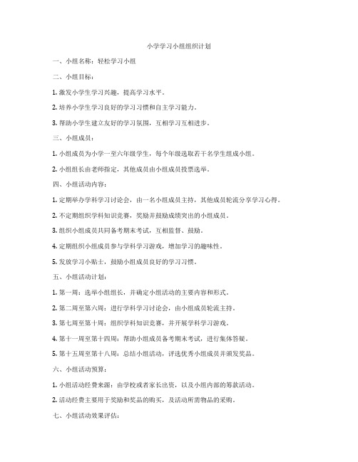 小学学习小组组织计划