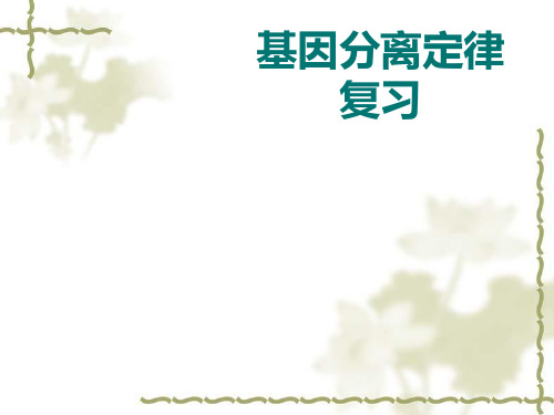 《基因分离定律复习》PPT课件