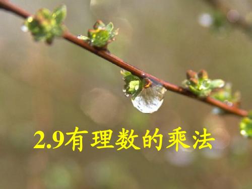 2.9有理数的乘法