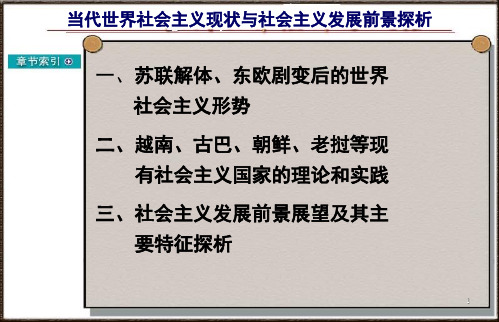 当代世界社会主义现状与社会主义发展前景