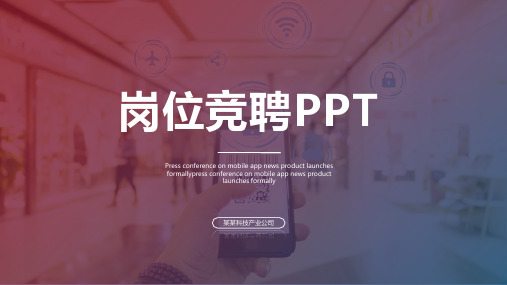 财务审计岗位竞聘演讲【精品】PPT