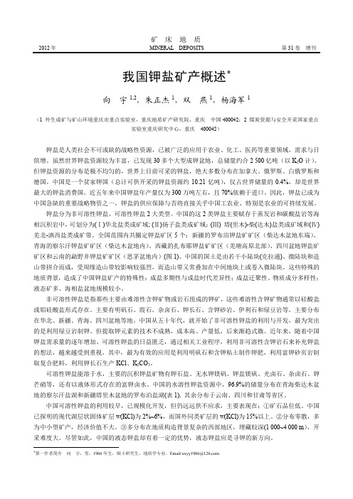 我国钾盐矿产概述