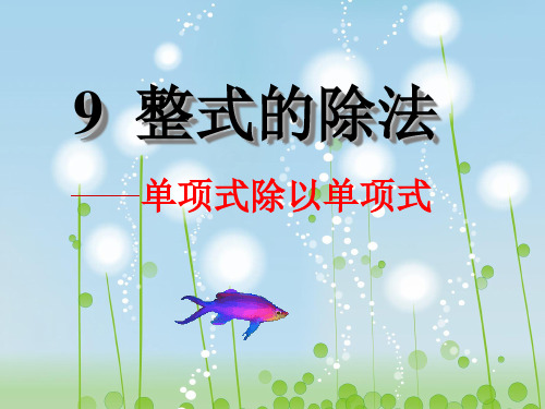 整式除法单项式除单项式PPT教学课件