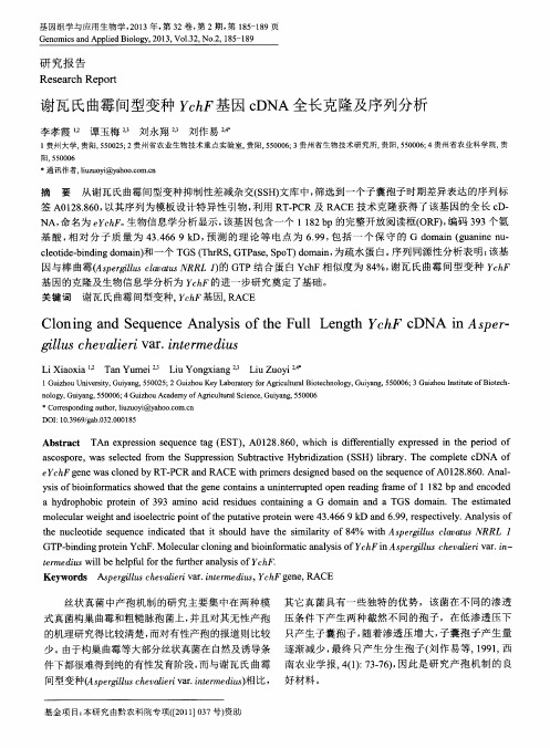 谢瓦氏曲霉间型变种YchF基因cDNA全长克隆及序列分析