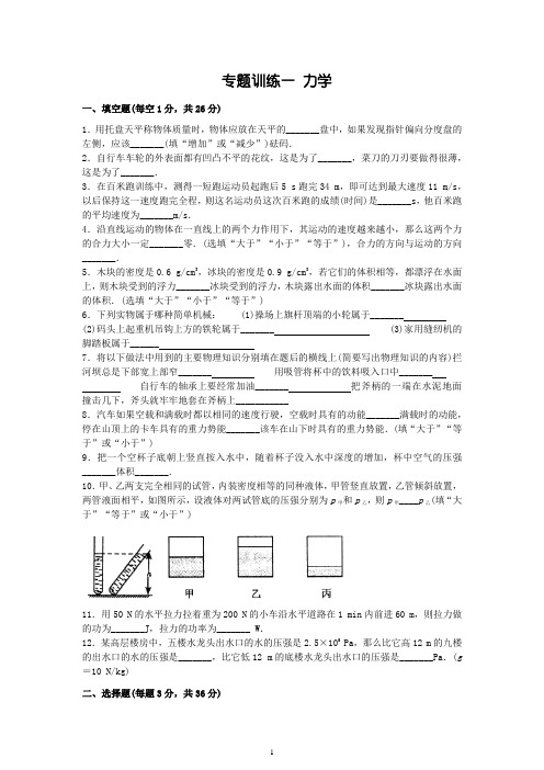 中考物理专题训练及答案解析