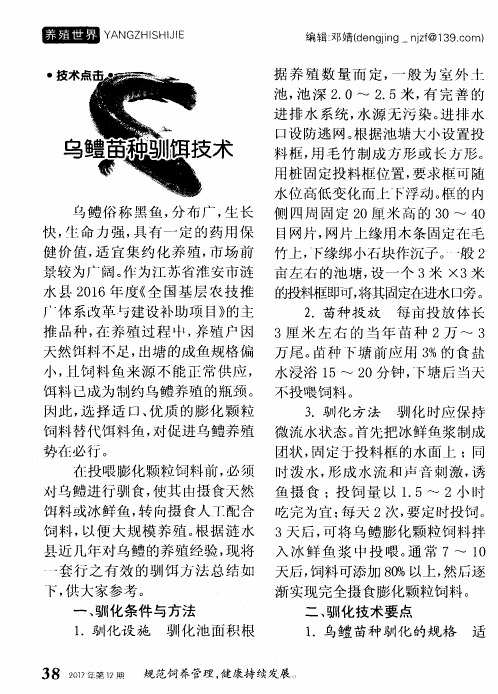 乌鳢苗种驯饵技术