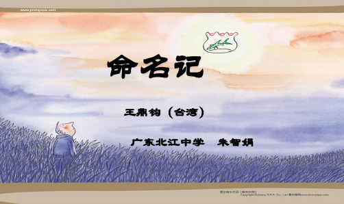 命名记ppt4 粤教版