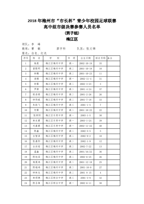 2018年梅州市市长杯青少年校园足球联赛