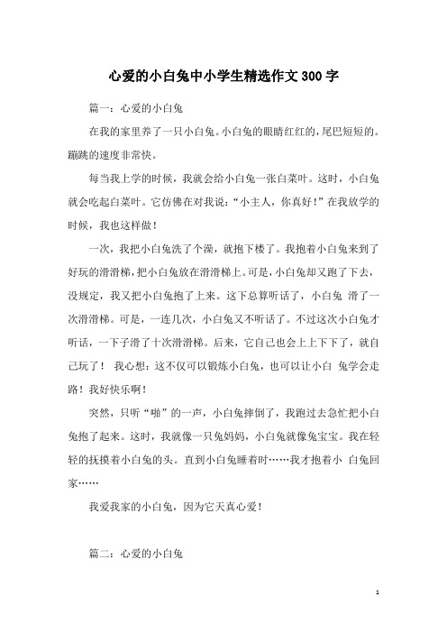 心爱的小白兔中小学生精选作文300字