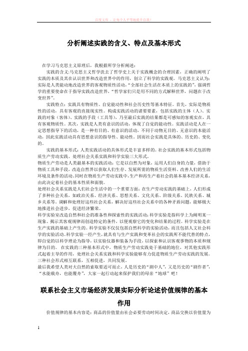 分析阐述实践的含义 (1)