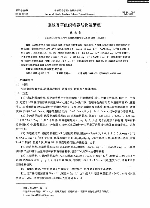 驱蚊香草组织培养与快速繁殖