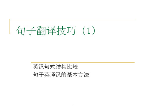 句子翻译技巧