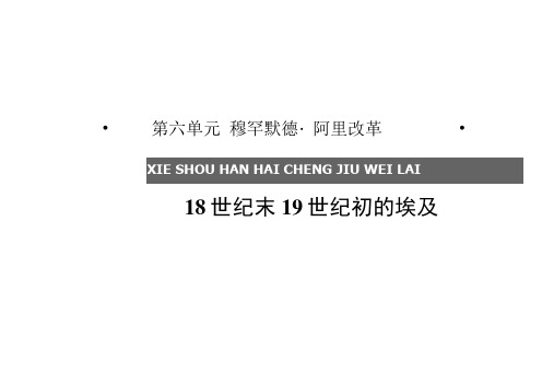 历史选修ⅰ人教版6.118世纪末19世纪初的埃及课件