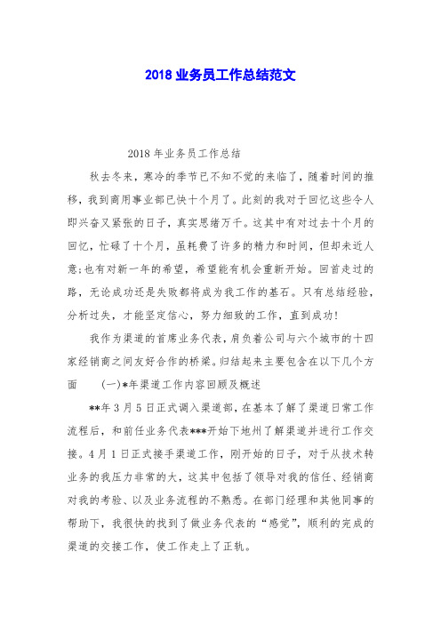 2018业务员工作总结范文