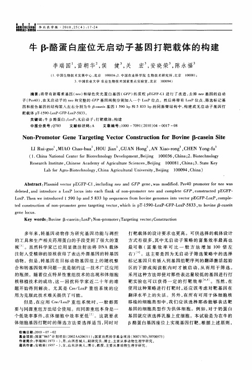 牛β-酪蛋白座位无启动子基因打靶载体的构建
