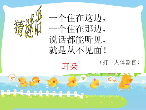 人音版一年级音乐：《数鸭子》课件1.ppt