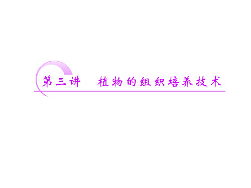 植物的组织培养技术ppt课件