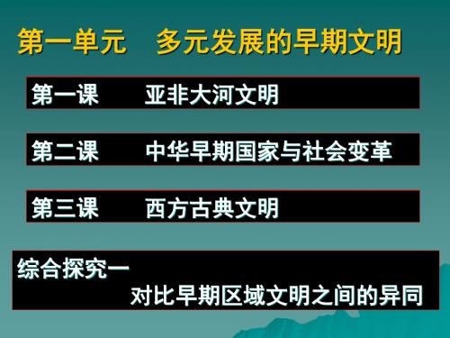 第一课 亚非大河文明(新课标)讲解