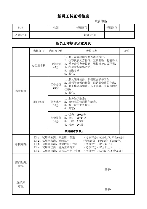 试用期员工转正考核表