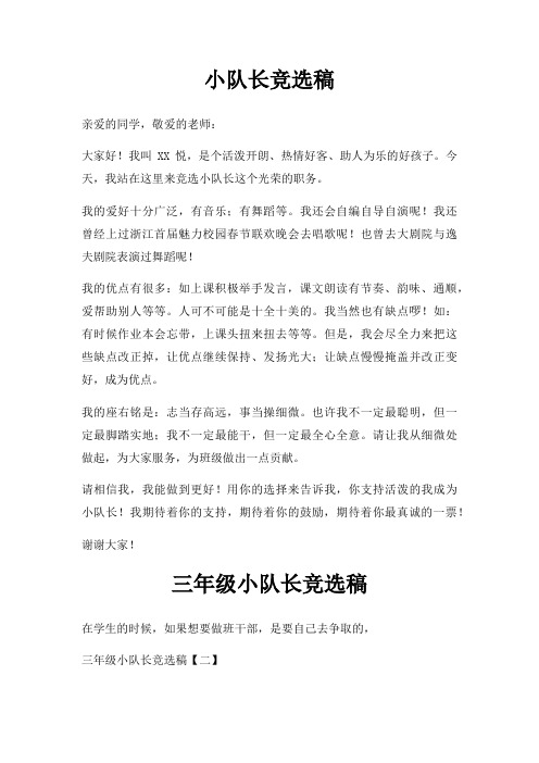 小队长竞选稿三篇