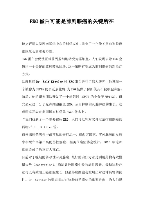 ERG蛋白可能是前列腺癌的关键所在
