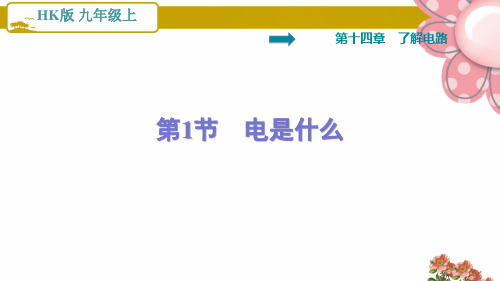 沪科版九年级物理上册14.1   电是什么