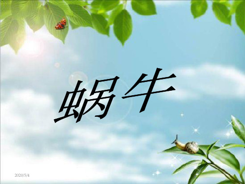 最新教科版小学三年级科学上册蜗牛二精品课件