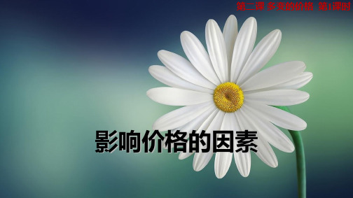 人教版高中政治必修1精品课件15：2.1 影响价格的因素