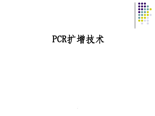 PCR扩增技术ppt课件