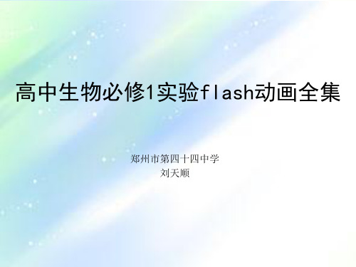 高中生物必修1实验flash动画全集 PPT