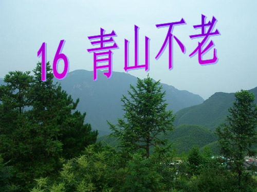 《青山不老》PPT课件