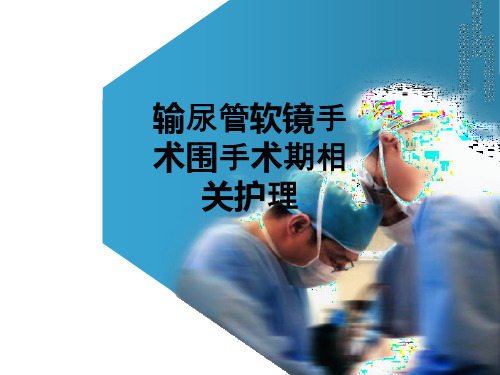 输尿管软镜手术围手术期相关护理ppt课件