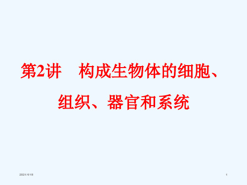 浙教版科学中考一轮复习第一篇 生命科学 第2讲 构成生物体的细胞、组织、器官和系统(共66张PPT)